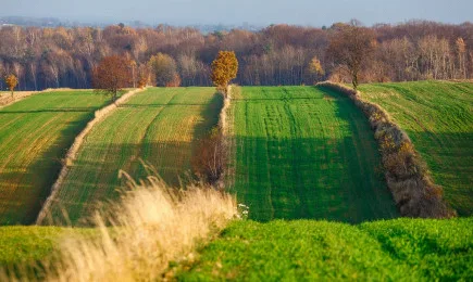 Кампания 2021 за директните плащания започна онлайн