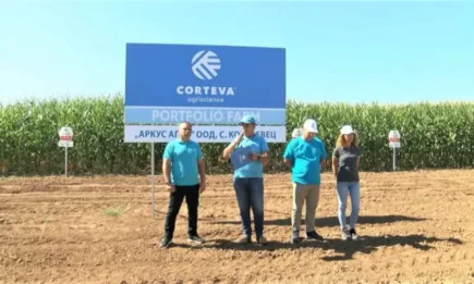 Топ хибриди в ExpressSun™ технологията