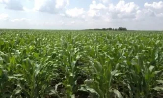 Комплексни решения за по-високи добиви и рентабилност