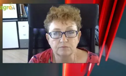 Димитричка Търпанова: Реколтата от кайсии е 10-15 процента