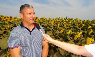 Нови продукти в слънчоглед