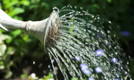 Днес е крайният срок, в който стопаните могат да кандидатстват по схемата за напояване