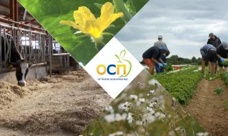 Сдружаването на земеделските стопани е един от водещите приоритети на ЕС