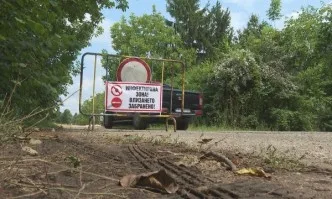 В област Русе е обявено бедствено положение заради африканската чума