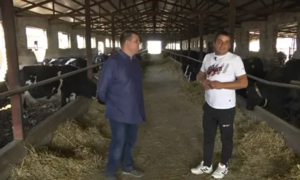 Васил Боев: Ние сме на нула, а печалбата остава в търговските вериги