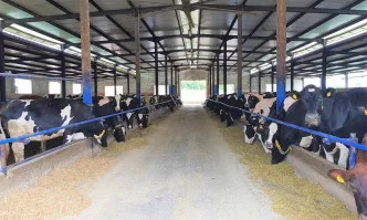 Експертни съвети за кандидатстване по подмярка 5.1 от ПРСР