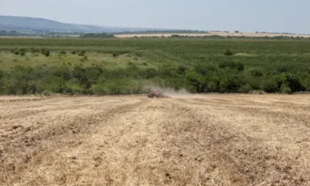 БАСЗЗ: Необходимо е ново законодателство, регулиращо поземлените отношения