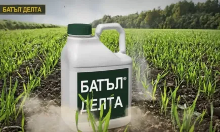 Битката срещу плевелите вече е спечелена!