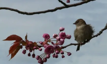 Март започва с неустойчиво време и чести валежи