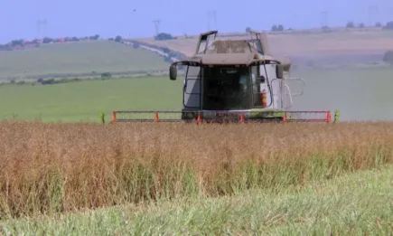 Отлични резултати с рапицата ДЕКАЛБ на БАЙЕР!