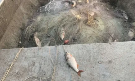 ИАРА дари риба на Зоопарк-Бургас