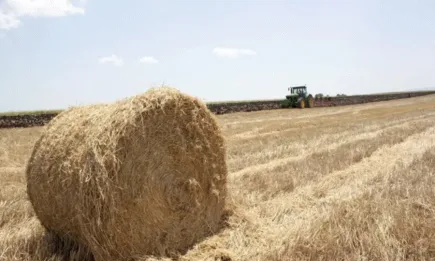 Въртене около ефективността от субсидиите