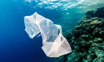 В Германия искат пълна забрана за найлонови торбички