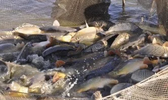 Проверка на язовир Ястребино