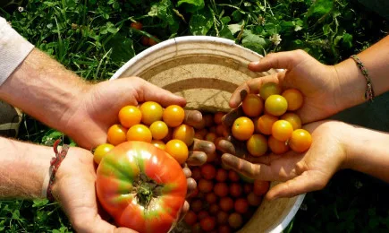 Приети бяха две промени за принципите на биоземеделието