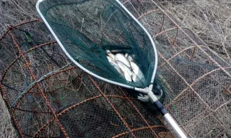 Извършени масирани проверки от служители на Рибарство и контрол Плевен