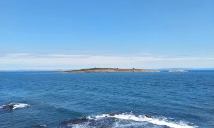 Преведени са 1,4 млн. лева за развитието на рибарската инфраструктура, туризъм и наука