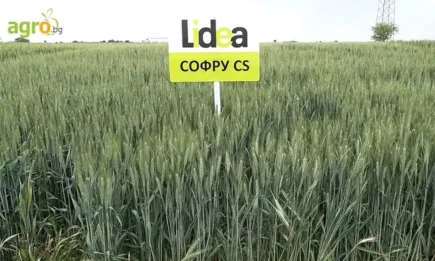 Постиженията на LIDEA бяха показани на открит полски ден в Раднево