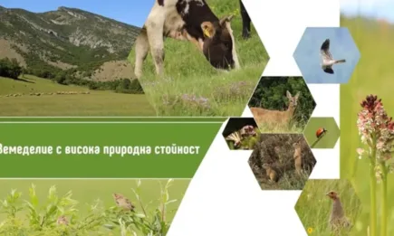 Земеделие с висока природна стойност