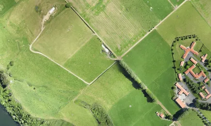 40% ръст на биоплощите през 2019 спрямо 2018