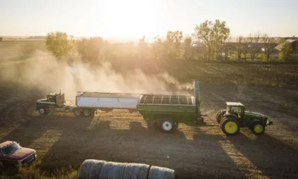 Спад на европейската царевица и ръст в цената на пшеницата