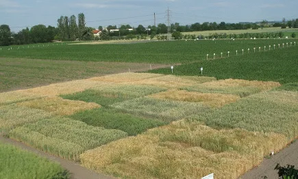Академия Земеделско образование и наука набира курсисти