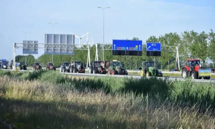 И биофермерите в Европа протестират