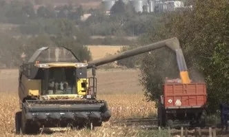 Optimum®AQUAmax® хибридите – добрият избор за всеки район на страната