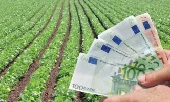 Днес е последен ден за подаване на заявления за субсидии без санкции