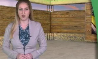 Гледайте в АГРОФОРУМ: Коя е печелившата формула за производителите на царевица