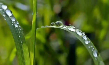 Продължава топлото за сезона време