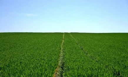 Продължава топлото време, ще има валежи в Западна България