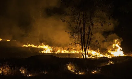 Гори и ниви горят, ситуацията е пожароопасна и в политиката