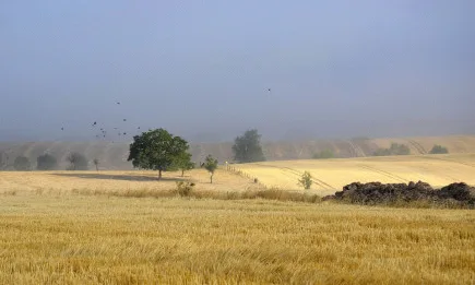 Седмична агрометеорологична прогноза 24-30.09.2021 г.