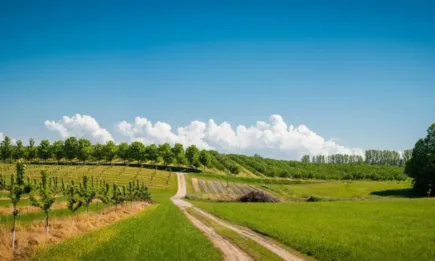 Площите в Италия са по-евтини отколкото преди 10 години