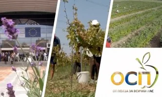 Общата селскостопанска политика - за стабилна европейска икономика