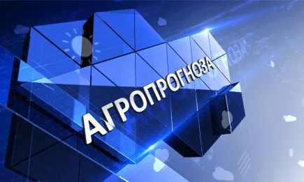Седмична агрометеорологична прогноза 2.07- 08.07.2021 г.