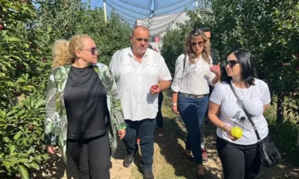 Заместник-министър Георгиева: С прилагането на Стратегическия план се стремим да увеличим биологичното производство