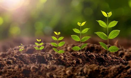 ПРОФЕСИЯ ЛЕСОВЪД – ВЪЗОБНОВЯВАНЕ И ЗАЛЕСЯВАНЕ НА ГОРИТЕ