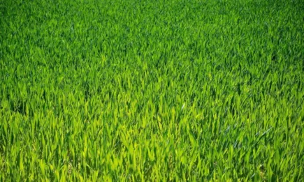 Топъл старт на февруари