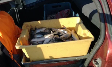 Съвместна акция на служители от РК Варна и МВР