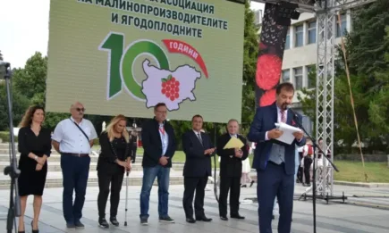 Фестивал на малината 2023 в Попово – ароматен, вкусен и полезен