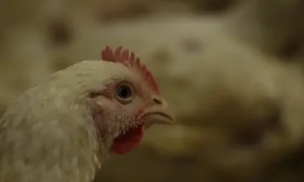 Иновативни технологии за биосигурност