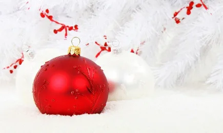 ЧЕСТИТО РОЖДЕСТВО ХРИСТОВО! МИРНА, ЗДРАВА И БЛАГОСЛОВЕНА ДА Е 2021 ГОДИНА!