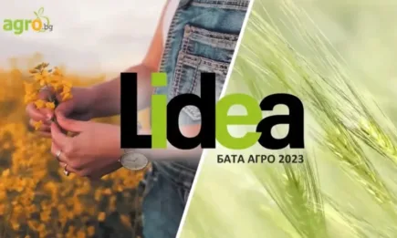 Lidea стартира продажбата на семена рапица и житни култури