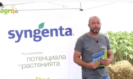 Експертност и нови решения в селекцията на слънчоглед и царевица