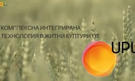 Комплексна интегрирана технология в житни култури от ЮПЛ