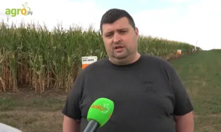 Петко Василев, управител на KWS България: Нашето портфолио става още по-добро!