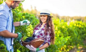 Продължава вторият прием по подмярка 6.3