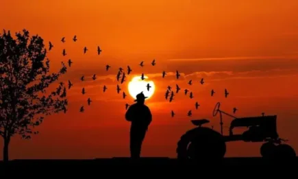 Наднормени температури, валежи и вероятност за градушки в Западна България